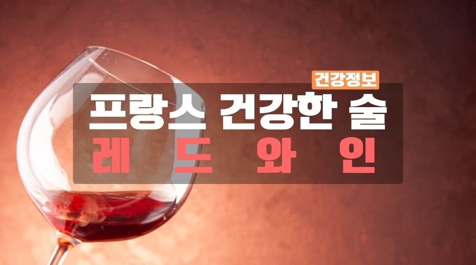 프랑스의 건강한 술 레드와인