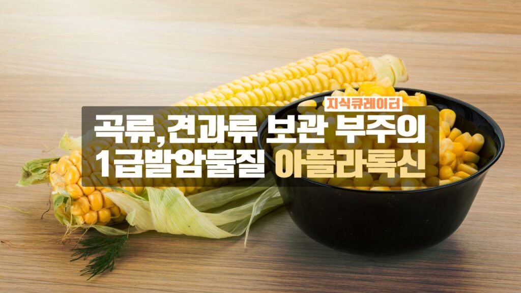 1급 발암물질 곰팡이 아플라톡신