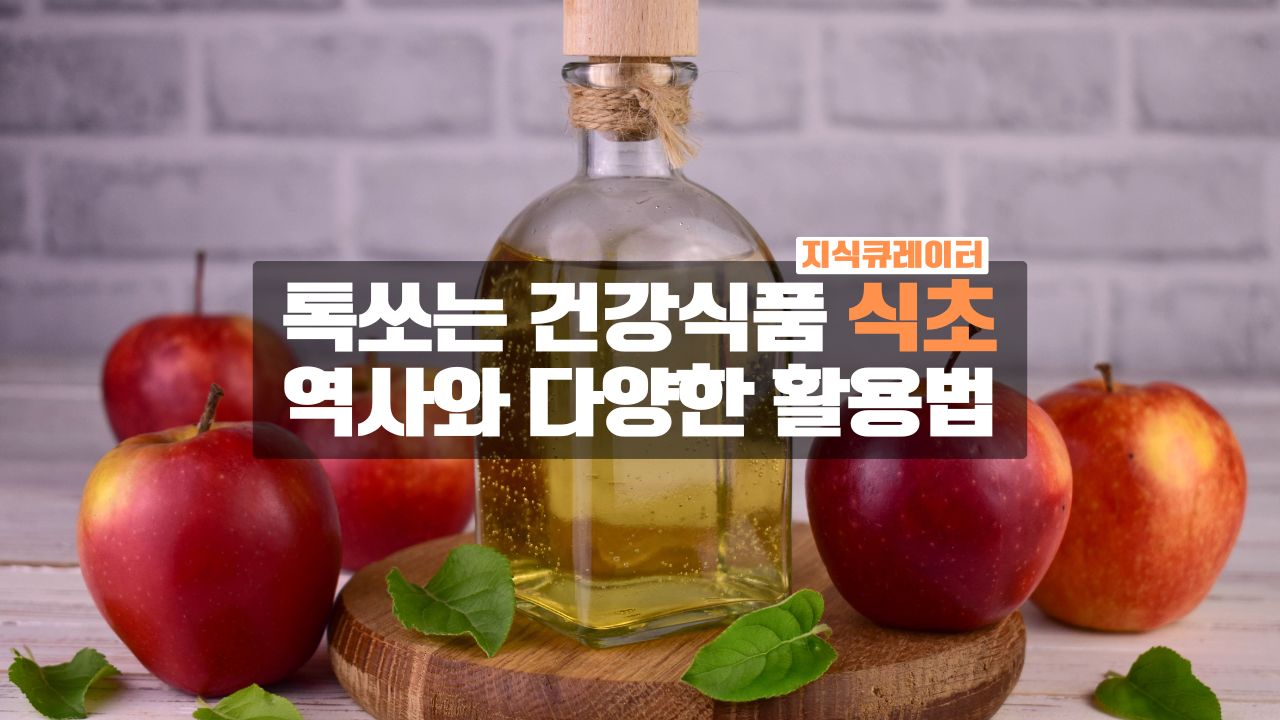 식초의 이모저모