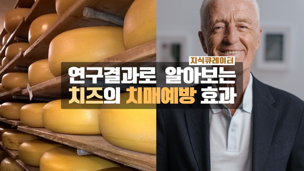 치즈의 치매예방 효과
