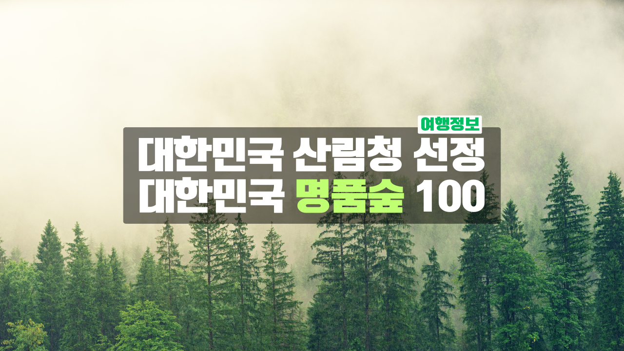 대한민국 100대 명품 숲