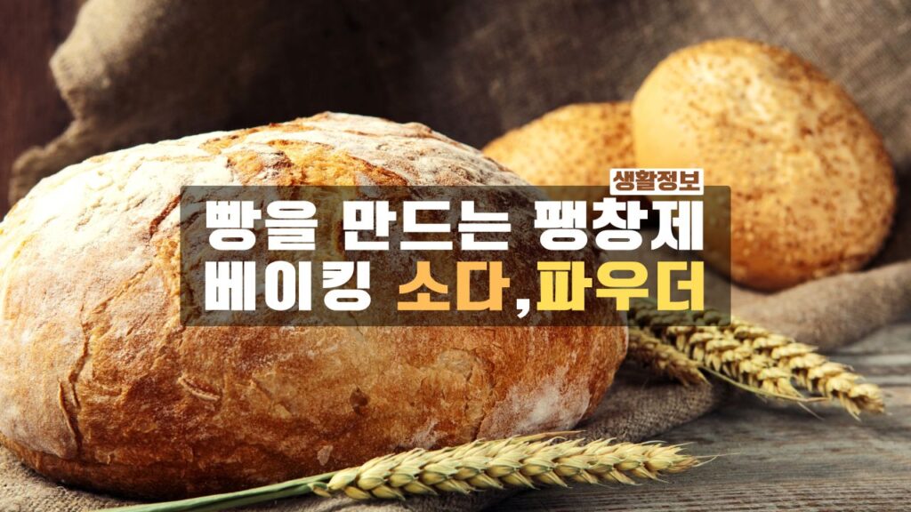 베이킹소다 베이킹파우더 차이점