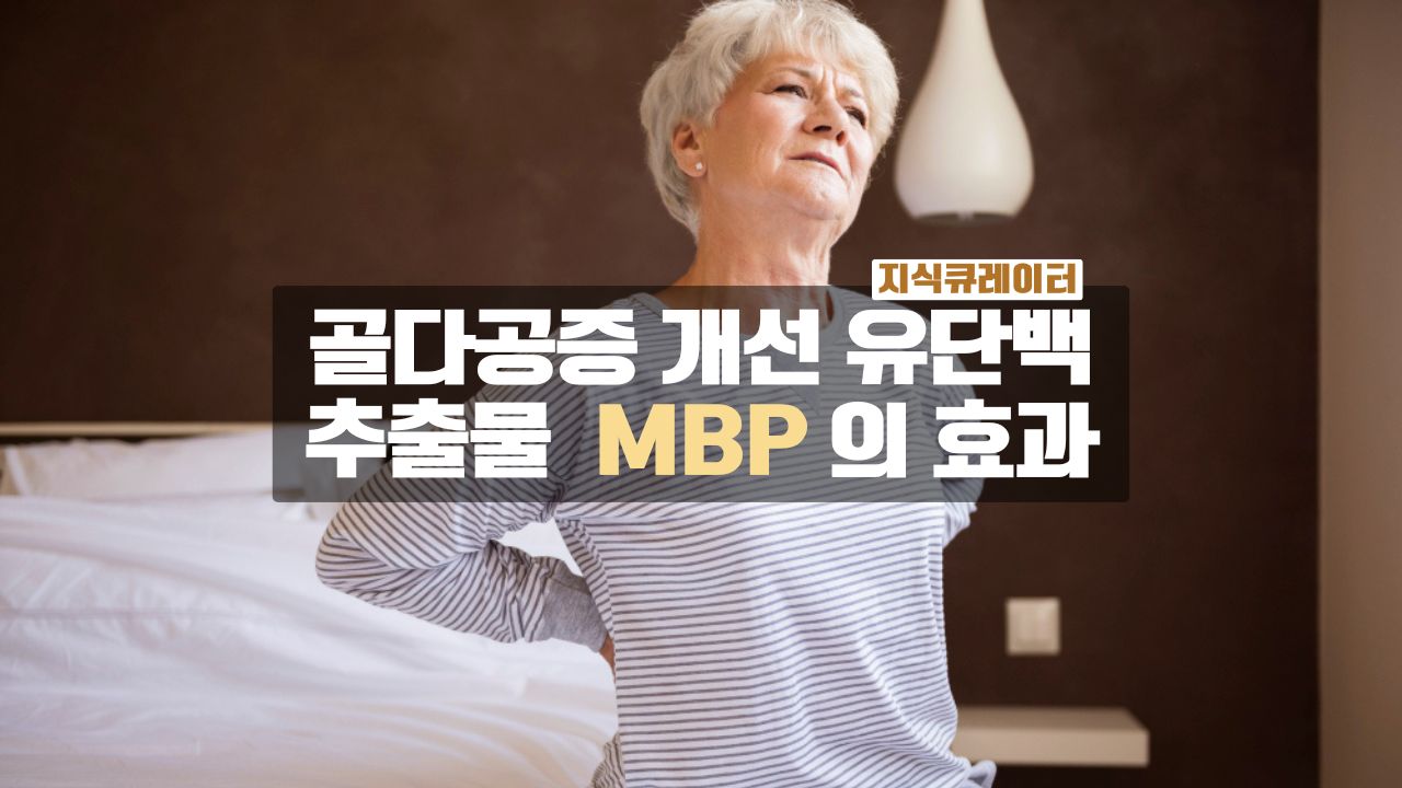 골다공증 개선 MBP