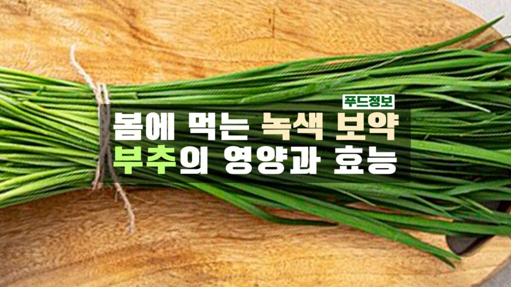봄에 먹는 녹색 보약, 부추